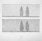 Gražina Viktorija Eimanavičienė (Oškinytė)
Sutemo