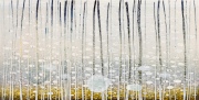 Daliutė Ivanauskaitė,

Upė,2013, sp.linoraižinys,

46x92