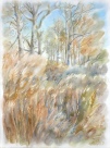 Irena Meištaitė

„Botanikos sodo smilgos“ 2016, akvarelė 76x57 cm.