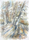 Irena Meištaitė

„Liepų alėja“ 2016, akvarelė 57x76 cm.