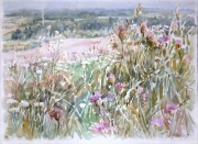 Irena Meištaitė

„Vilkdalgiai“ 2020, akvarelė 76x57 cm.