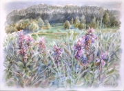 Irena Meištaitė

„Paplinijos katilėliaii“ 2020, akvarelė 76x57 cm.