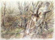 Irena Meištaitė

„Pavasarėja“ 2012 akvarelė 76x57 cm.