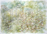 Irena Meištaitė

„Pelkių žoles“ 2016 akvarelė 76x57 cm.