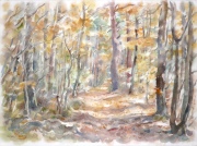 Irena Meištaitė

„Ruduo miške“ 2016, akvarelė 76x57 cm.