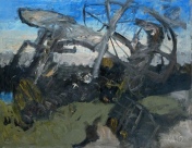 Algimantas Jonas Kuras
