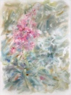 Irena Meištaitė

Miškų gėlė 2013 akvarele 57x76