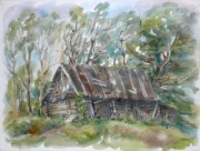 Irena Meištaitė

Senas kluonas 2012 akvarele 76x57