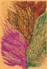 Kęstutis Petras Ramonas

Vidudienio sodas,1988, šilkografija, 62x42 cm.