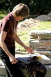 Audronė Adomavičienė